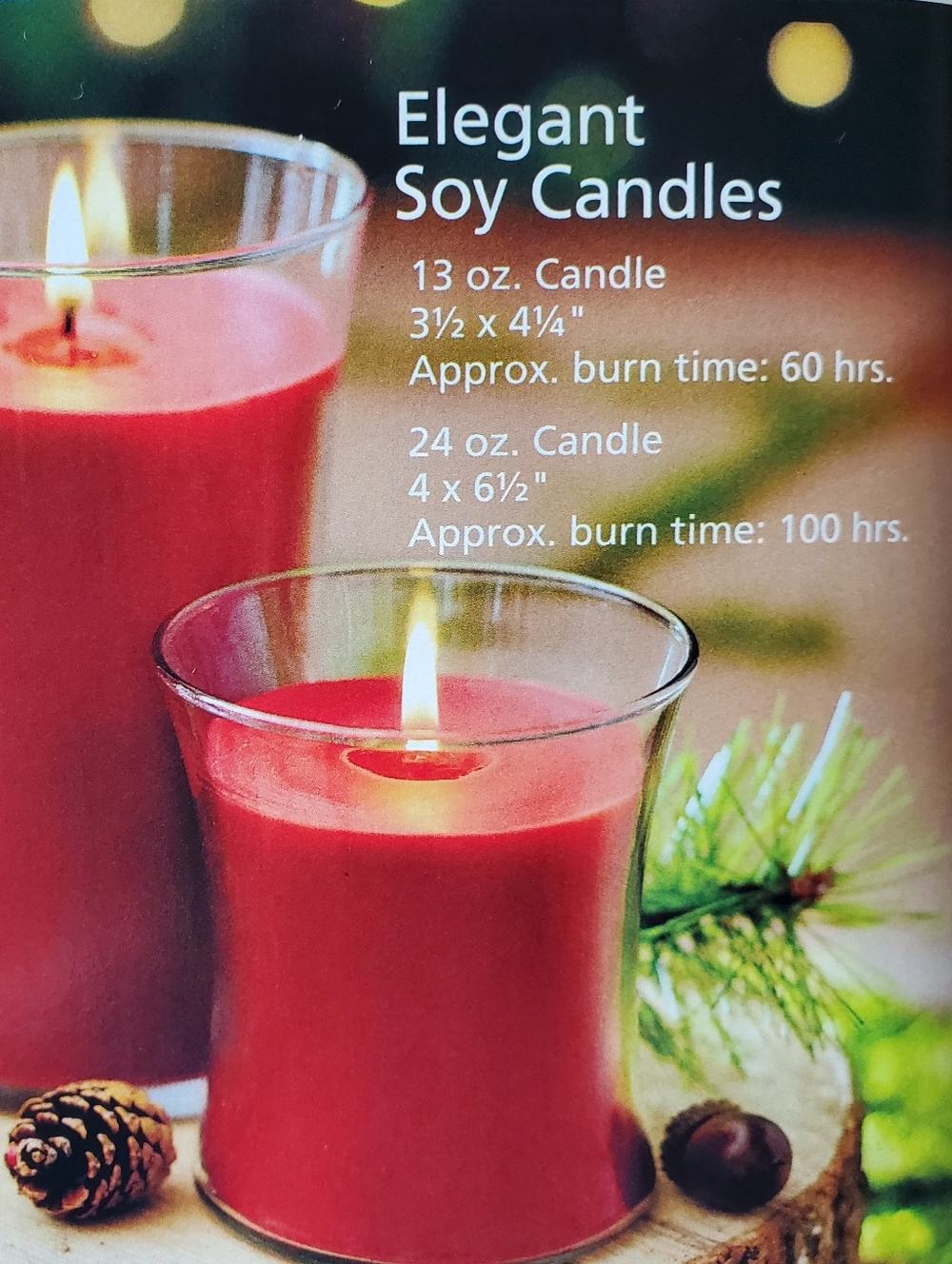 Warm Cinnamon Pumpkin Scent 24 oz Jar Candle Celebrating Home New soy blend wax - Picture 9 of 14